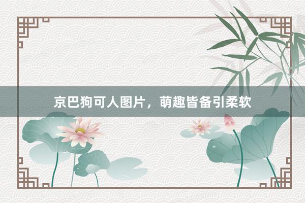 京巴狗可人图片，萌趣皆备引柔软