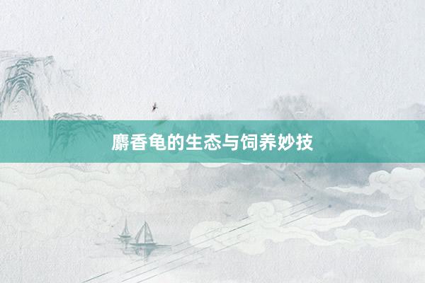 麝香龟的生态与饲养妙技
